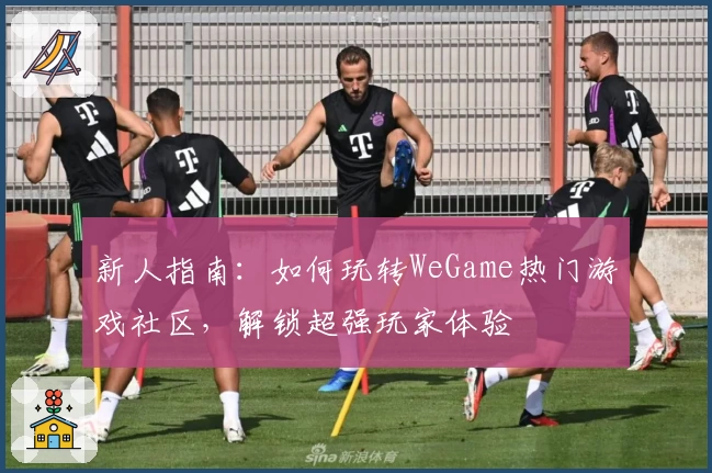 新人指南：如何玩转WeGame热门游戏社区，解锁超强玩家体验